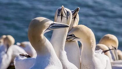 开云·体育官方网站入口-战队战术创新助力夺冠，创新战队名字